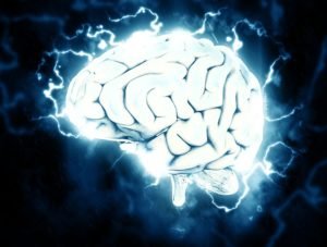 illustrated image of a brain