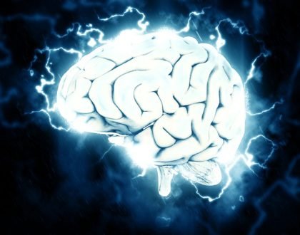 drawing of a brain