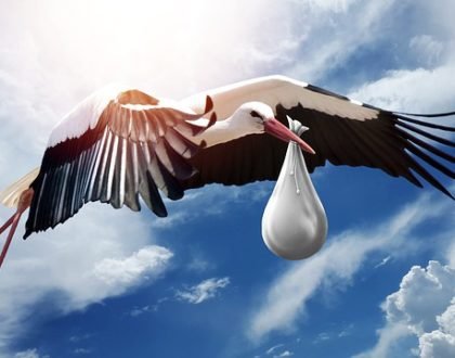 stork carrying baby