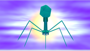 parkinsons and gut viruses