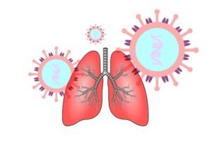 COVID 19 infecting lung cells, a drawing